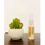 Kiddie Momma All Natural Throat Spray 20mL - InspiringWMN